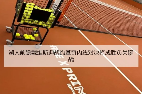 湖人前瞻戴维斯迎战约基奇内线对决将成胜负关键战
